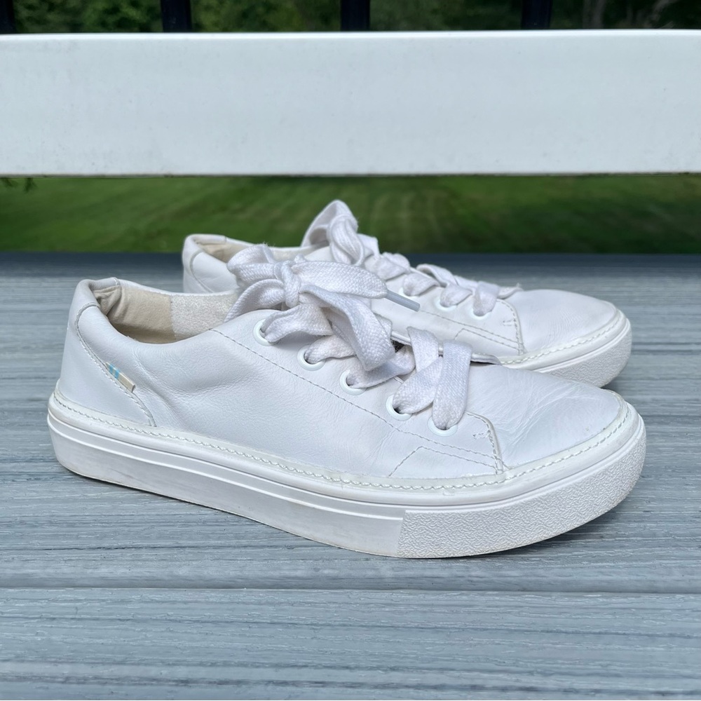 Toms Alex Sneaker